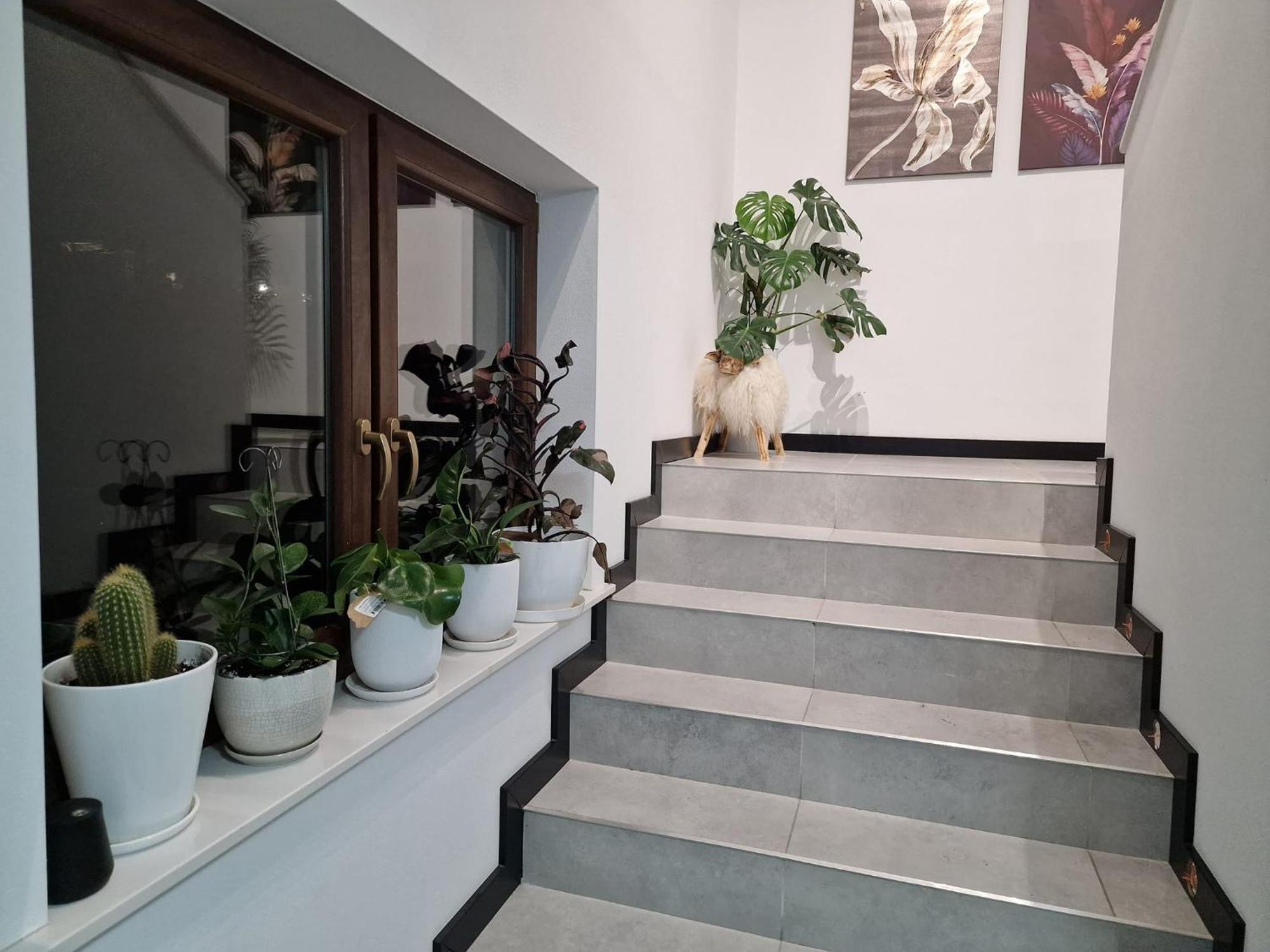 Male Ciche 36J Przy Ostrewkach, Widok Na Gory, Blisko Do Wyciagu Narciarskiego, Idealne Miejsce Na Wypad W Gory -Tarasowka-Zgorzelisko-Rusinowa Polana-Gesia Szyja-Palenica-Wiktorowki-Morskie Oko Murzasichle Buitenkant foto